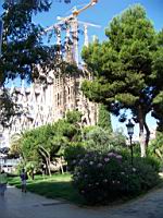 Barcelone, Sagrada Familia (01)